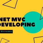 .net MVC Developing